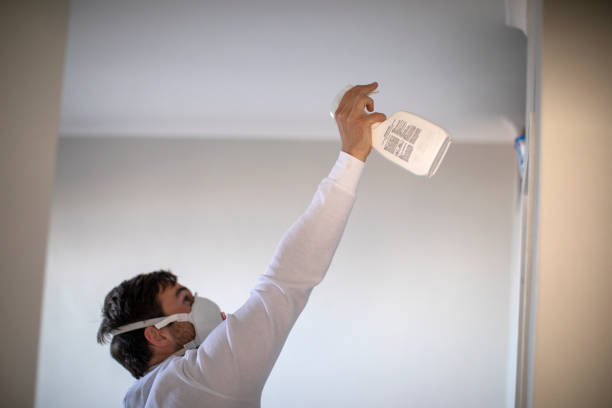 Professional Mold Remediation in Alva, OK
