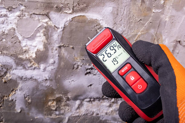 Best Residential Mold Remediation in Alva, OK