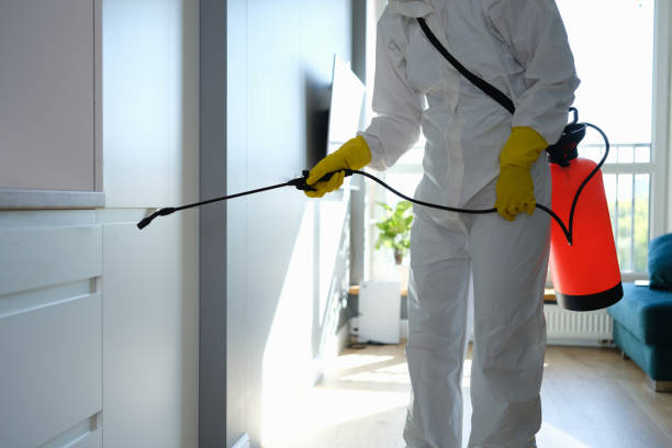 Best Kitchen Mold Remediation in Alva, OK