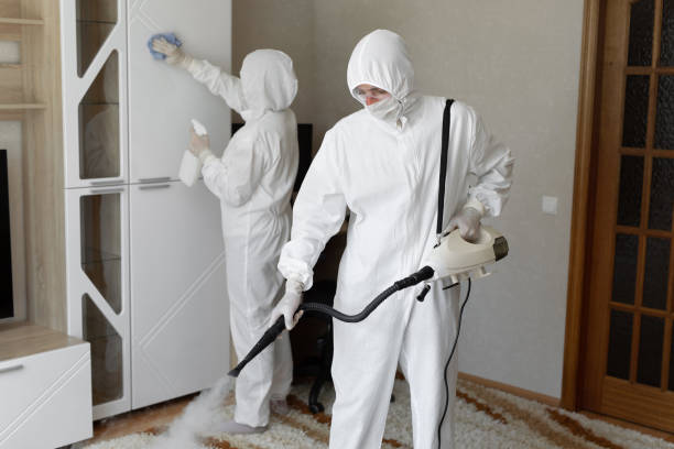 Best Commercial Mold Remediation in Alva, OK