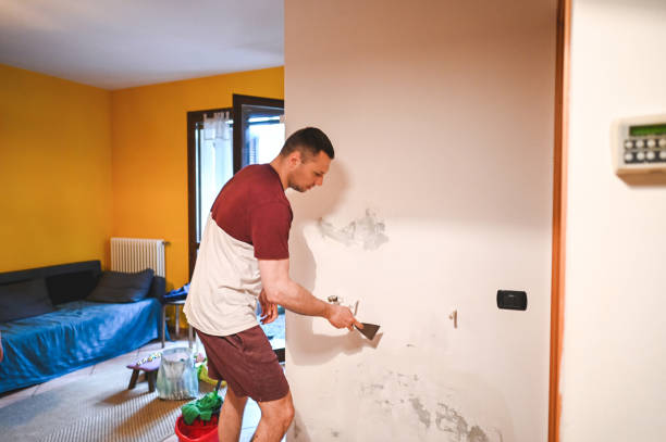Best DIY Mold Remediation Support Services in Alva, OK